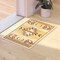 Flash Furniture Brown 2 x 3 Southwestern Style Patterned Area Rug OKR-RG1113-23-BG-GG - alternate 6